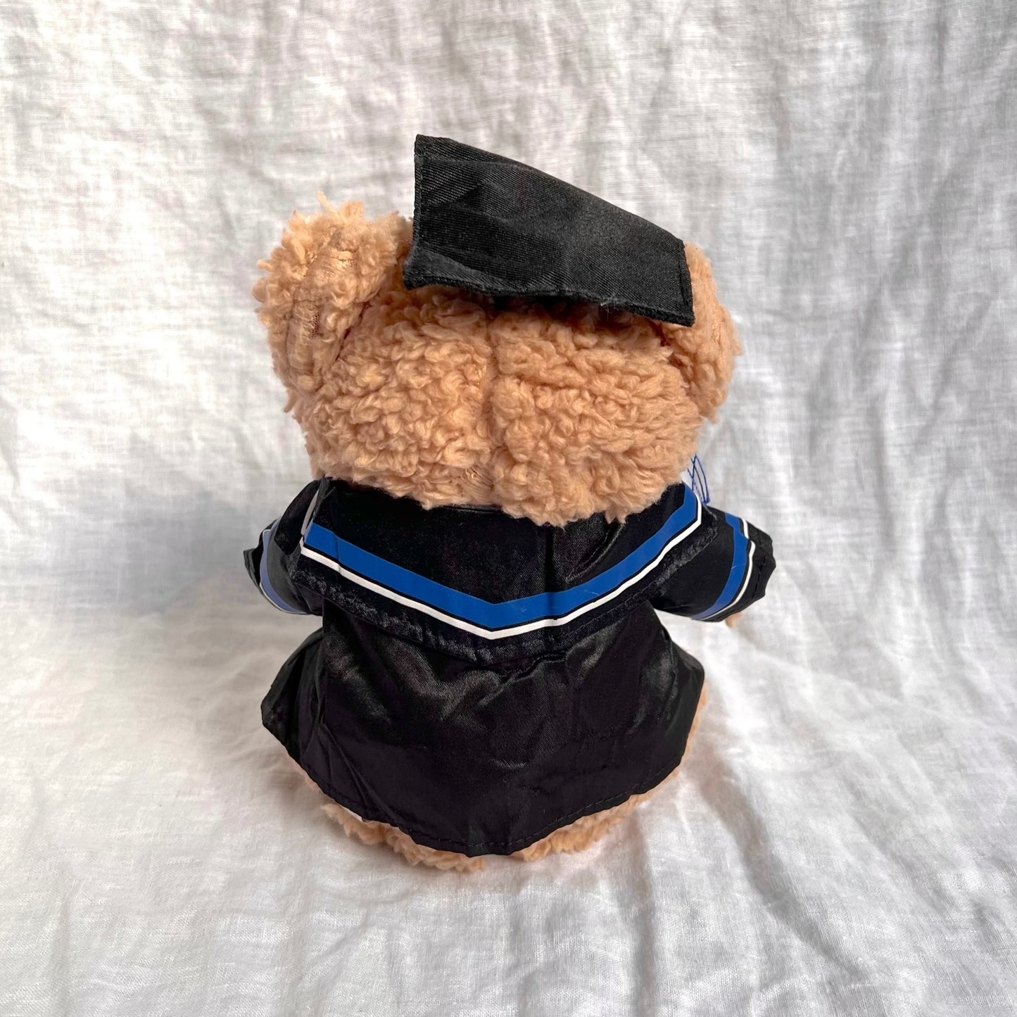 Back view of fluffy brown bear with graduation cap and gown containing blue tassles and stripes