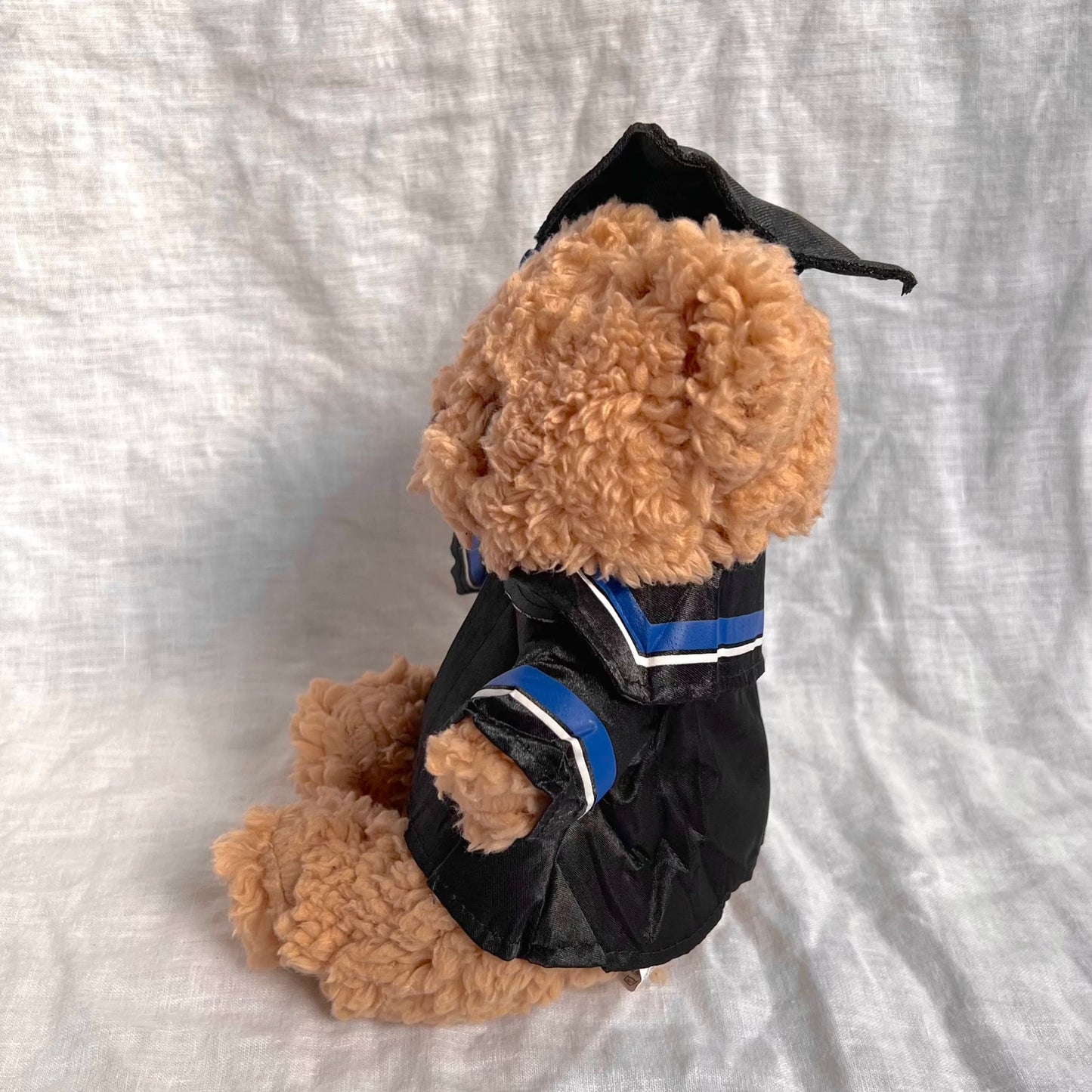 Sideview of fluffy brown bear with graduation cap and gown containing blue tassles and stripes