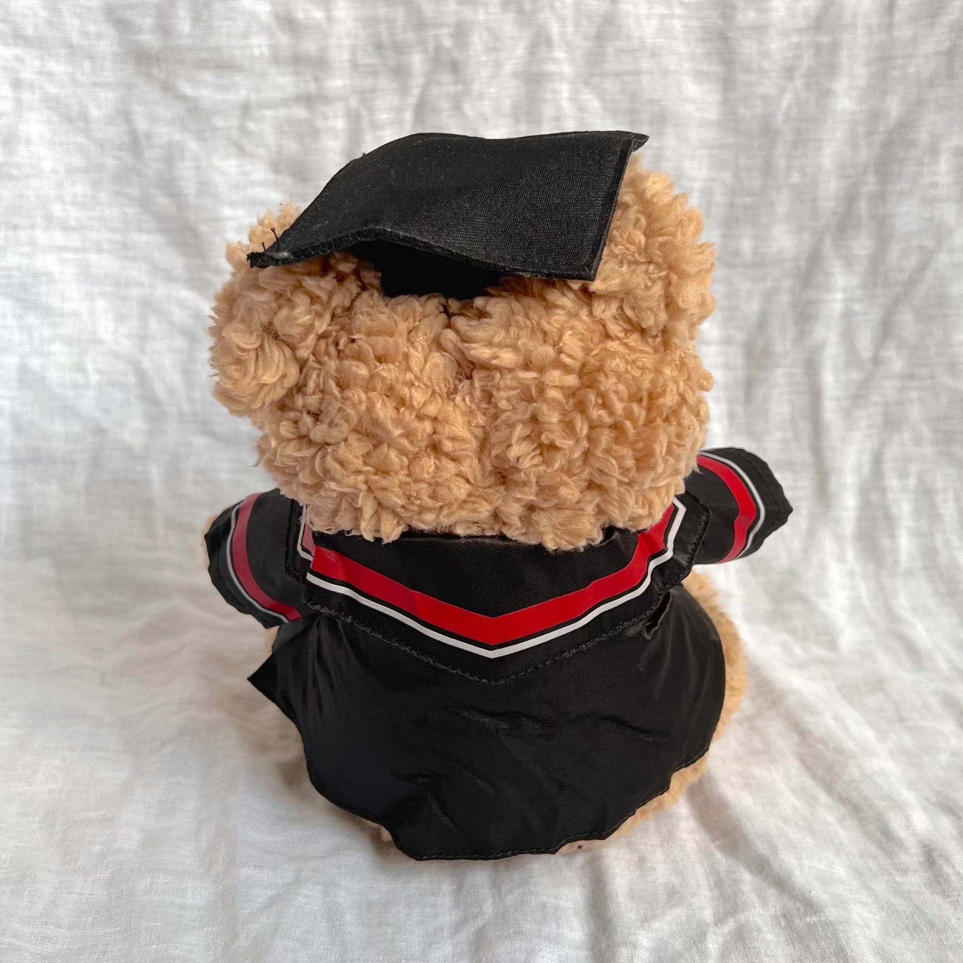Back view of fluffy brown bear with graduation cap and gown containing red tassles and stripes
