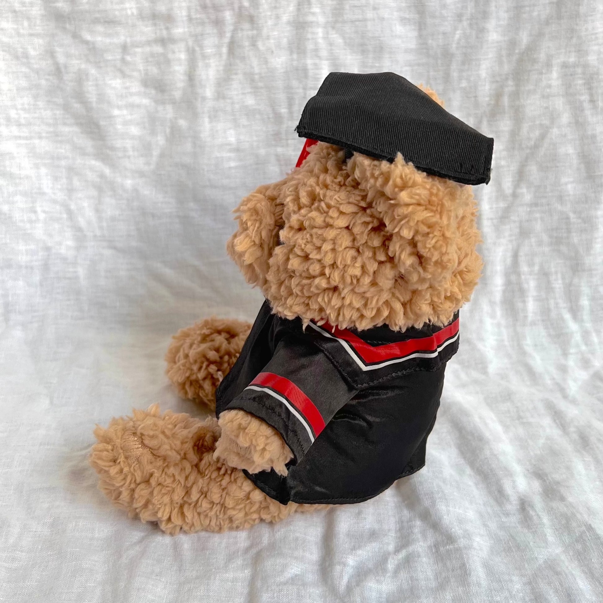 Side view of fluffy brown bear with graduation cap and gown containing red tassles and stripes