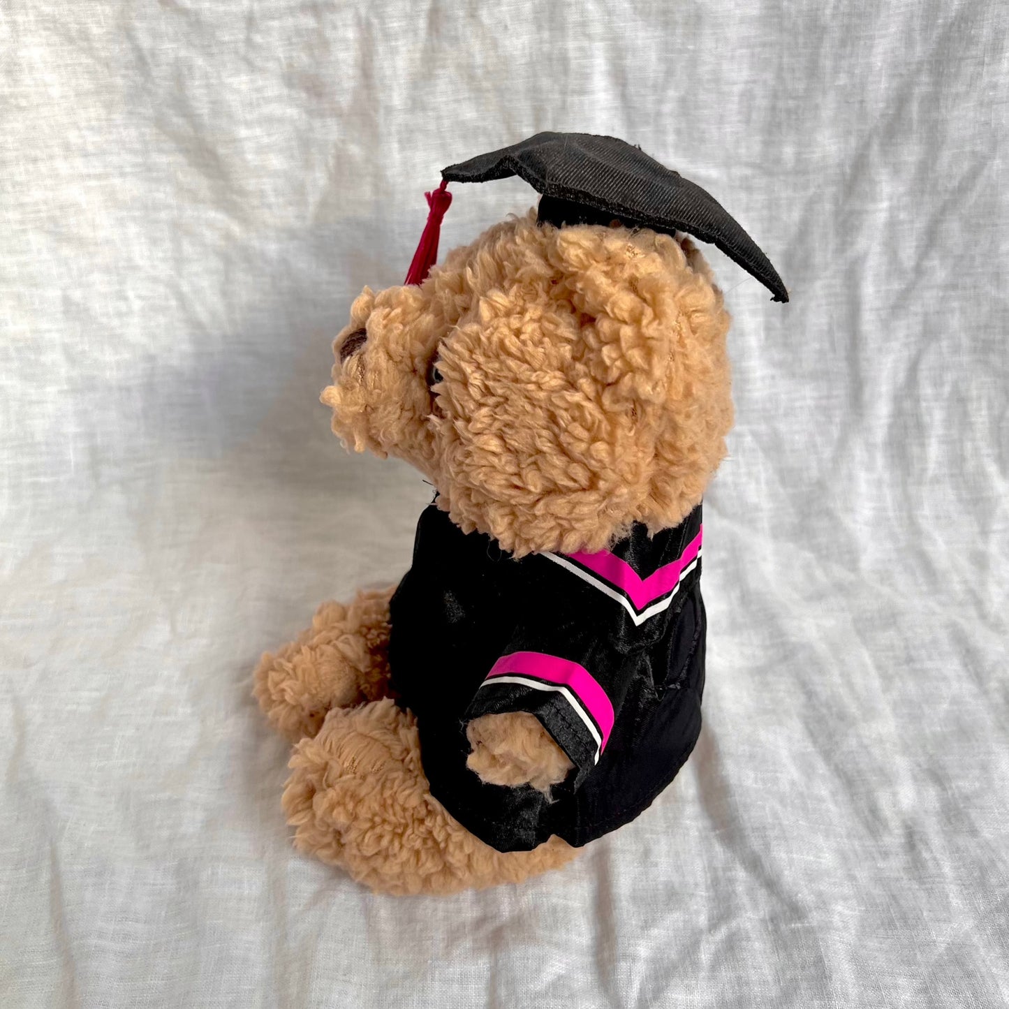 Pink Graduation Bear (25cm)